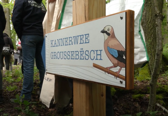 /media/dc24c0ee-1c9e-40c3-8fa6-6979a89ea8bc/coverfoto-video-kannerwee.png