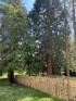 20.05.24_Hondswiss-2