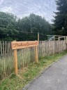 18.06.24_Hondswiss-6