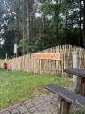 18.06.24_Hondswiss-10