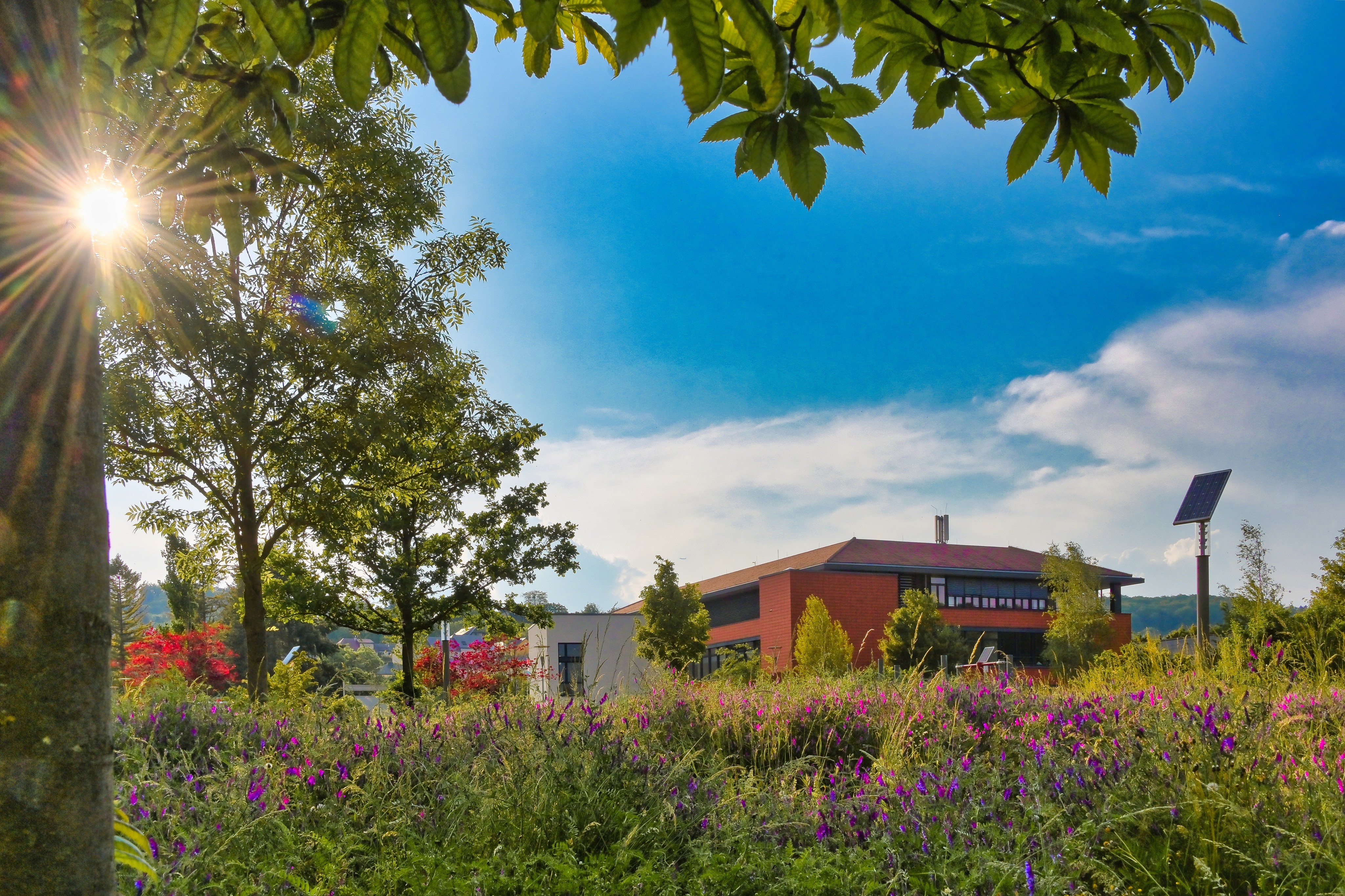 Photo-commune-Margaretha-Inghelram