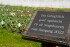 27.03.26_Emwelt Post-18